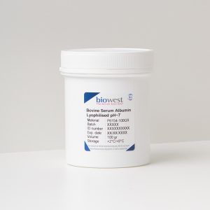 Photo of Bovine Serum Albumin (BSA) Lyophilised pH ~7 – P6154 - Biowest