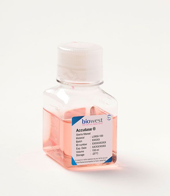 Accutase® L0950 Biowest Your best choice for animal serum