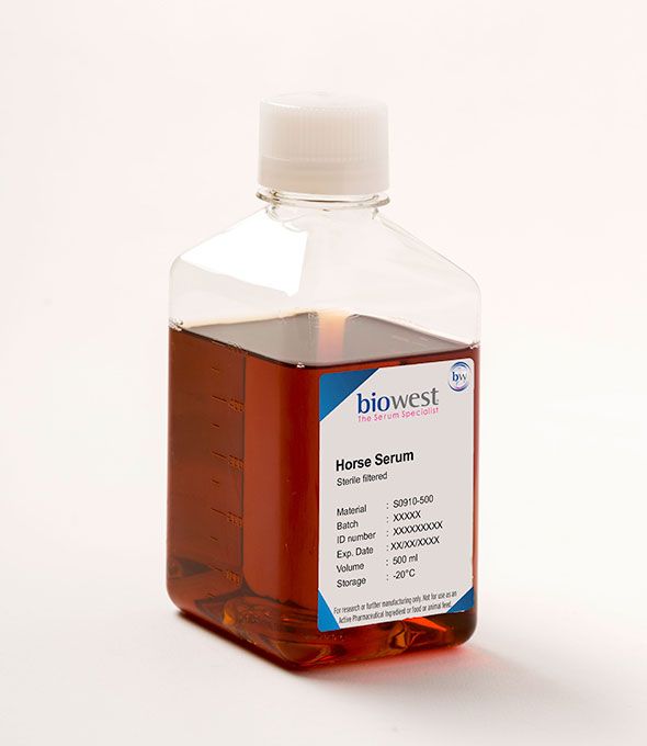 Horse Serum S0910 Biowest Your best choice for animal serum