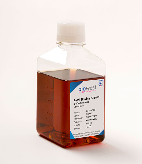 Fetal Bovine Serum (FBS) USDA approved Origin - S1620 - Biowest | Your ...