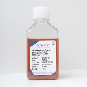Photo of Fetal Bovine Serum (FBS) South America, Iron Supplemented - S181R - Biowest