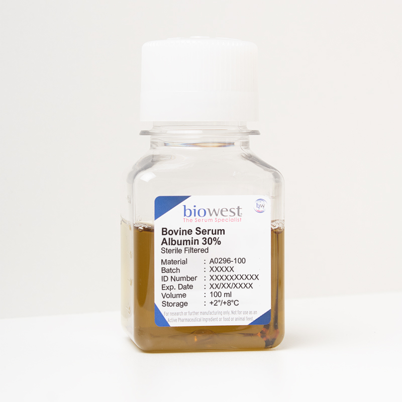 Photo of Bovine Serum Albumin (BSA) 30% Liquid – A0296 - Biowest