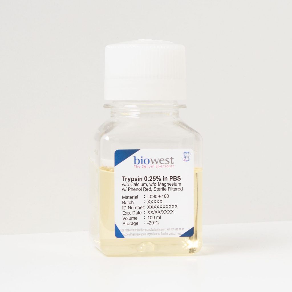 薬物治療学 VISUAL CORE PHARMA Trypsin 0.25 % in PBS w/o Calcium w/o Magnesium w/ Phenol