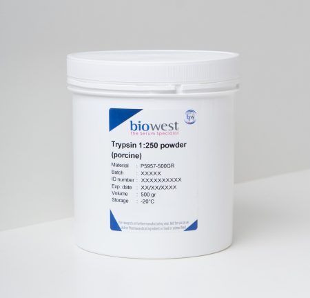 Photo of Trypsin 1:250 powder (porcine) - P5957 - Biowest p5957 trypsin 1:250 powder (porcine)