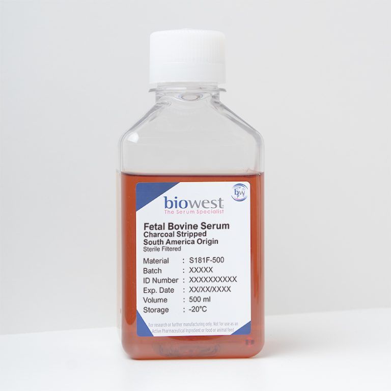Fetal Bovine Serum (FBS) South America, Charcoal Stripped S181F