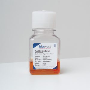 Photo of Fetal Bovine Serum (FBS) South America, E.V. Depleted – S181M - Biowest