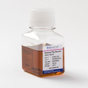 s2450 guinea pig serum
