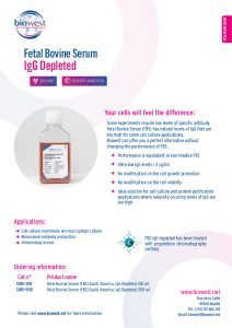 Flyer IgG Depleted - Biowest