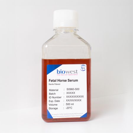 Photo of Fetal Horse Serum - S0960 - Biowest