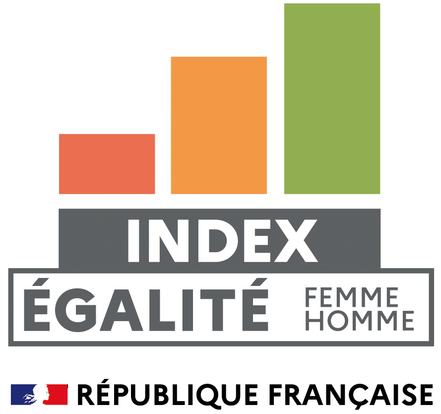 logo index egalite professionnelle