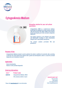 capture d'écran 2024 04 15 153336