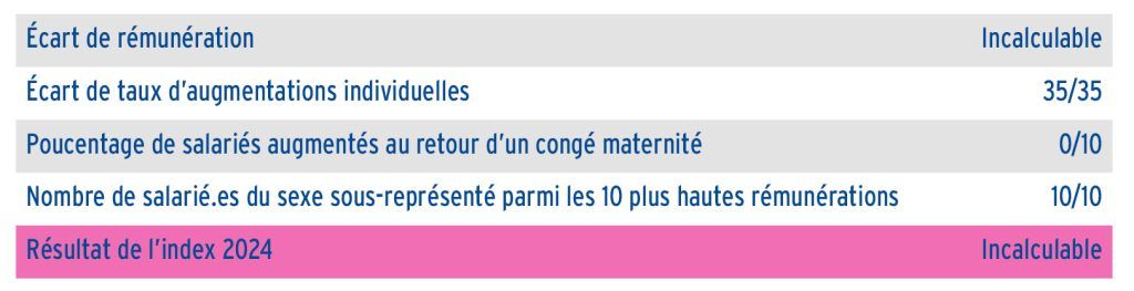 index égalité hommes femmes 2024 (vf)