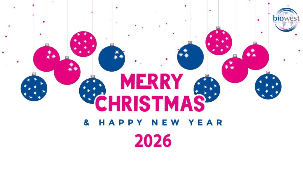 merry christmas 2026