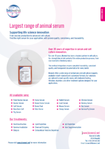 image animal serum