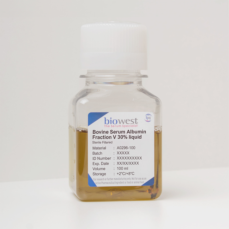 Bovine Serum Albumin (BSA) Fraction V 30% Liquid