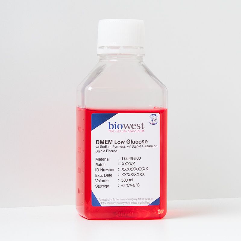 DMEM Low Glucose w/ Stable Glutamine w/ Sodium Pyruvate