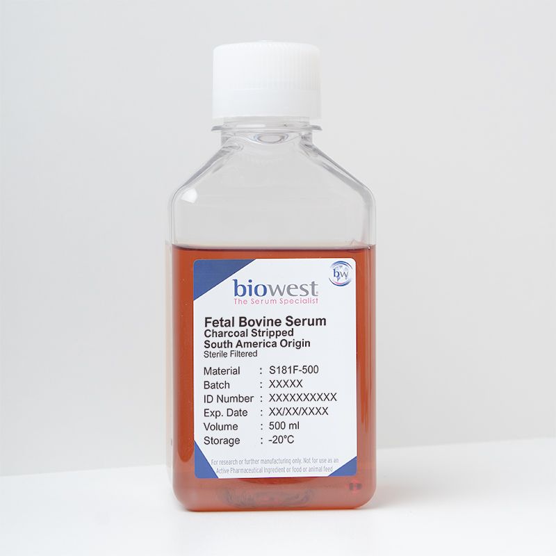 Fetal Bovine Serum (FBS) South America, Charcoal Stripped