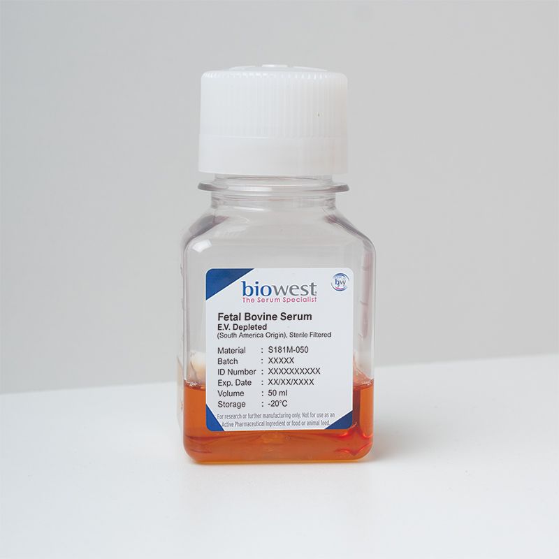 Fetal Bovine Serum (FBS) South America, E.V. Depleted