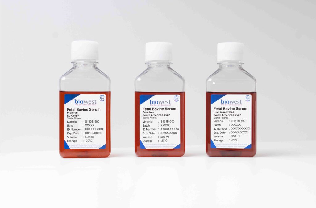 serum x3 1
