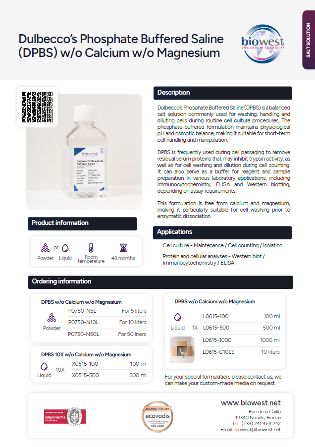 flyer p0750 l0615 x0515