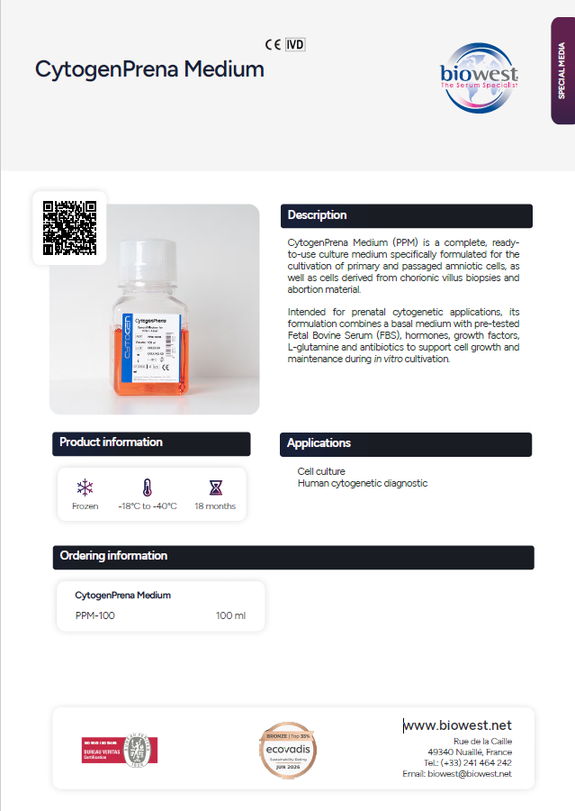 flyer ppm